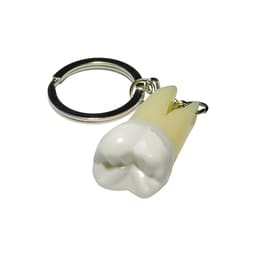 iDENTical Molar Tooth Keychain (Upside Down) - White ZYR-3001 - 1