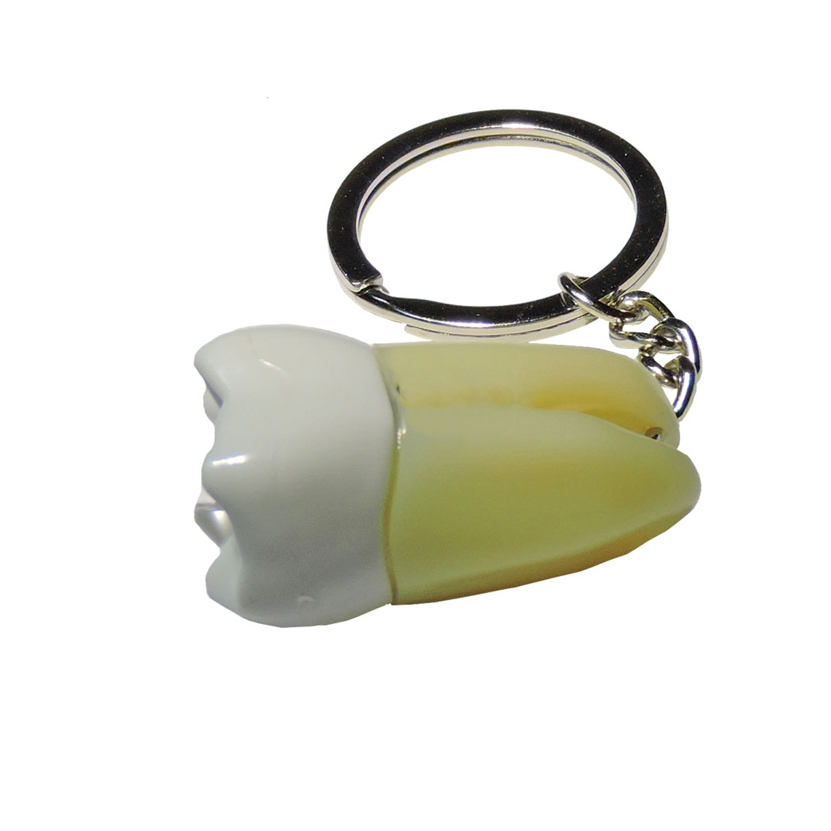 iDENTical Molar Tooth Keychain (Upside Down) - White ZYR-3001