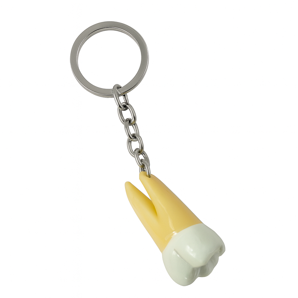 iDENTical Molar Tooth Keychain (Upside Down) - White ZYR-3001