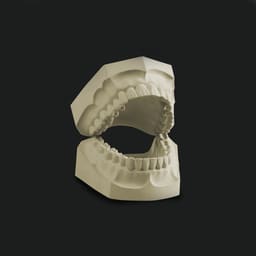 Labodent DieRock Die Stone Type 4 - 7