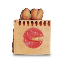 Toothxplore Magniaid Outer Case - 7