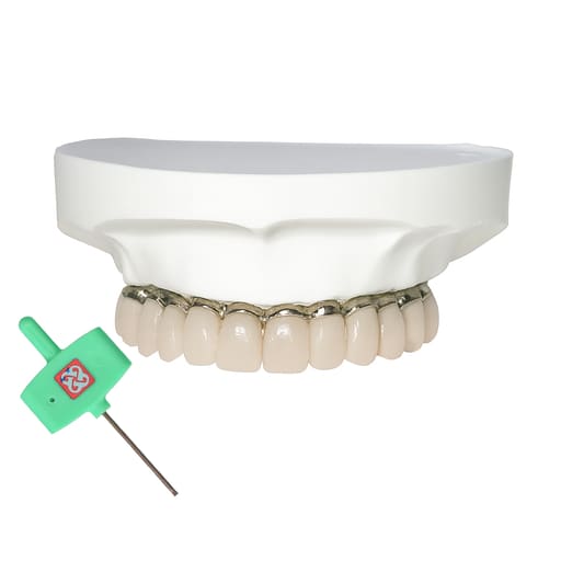 iDENTical All-On-4 Overdenture Model M6023