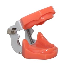 iDENTical Standard Edentulous Model M7041 - 1