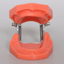 iDENTical Standard Edentulous Model M7041 - 5