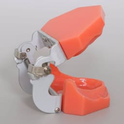iDENTical Standard Edentulous Model M7041 - 4