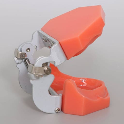 iDENTical Standard Edentulous Model M7041