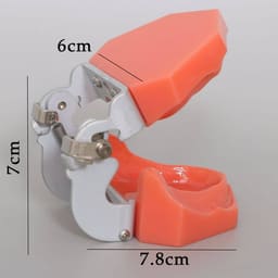 iDENTical Standard Edentulous Model M7041 - 3