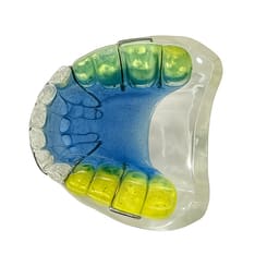 iDENTical Orthodontic Model With Multicolor Retainer M3011 - 4