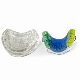iDENTical Orthodontic Model With Multicolor Retainer M3011 - 6