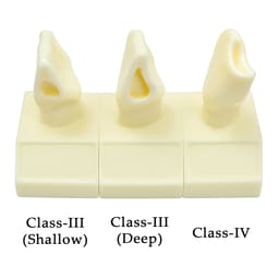 iDENTical Cavity Demonstration Model For Pre - Clinical Training 4X Size - Set of 12 M7025 - 4
