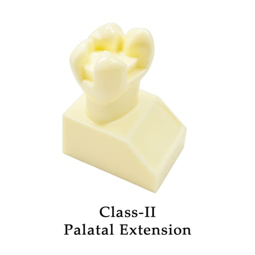 iDENTical Cavity Demonstration Model For Pre - Clinical Training 4X Size - Set of 12 M7025