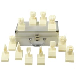 iDENTical Cavity Demonstration Model For Pre - Clinical Training 4X Size - Set of 12 M7025 - 1