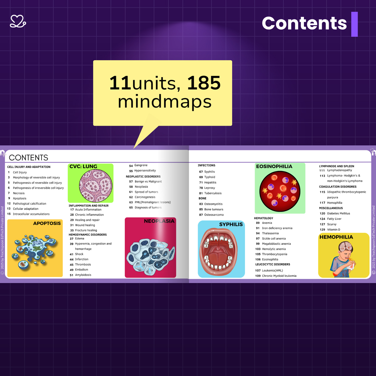 Medi Study Go Second Year BDS Mind Maps Bundle (Pack Of 4)