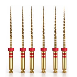 Woodpecker Endo Plus Gold Rotary File 25mm (W4 25/ 0.06)