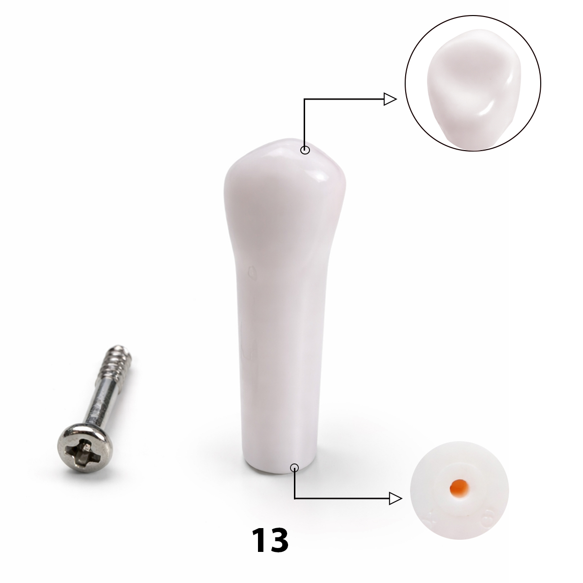 iDENTical Typodonts Upper Right Canine For Nissin Type Jaw Set TJMA09 - Individual - 13