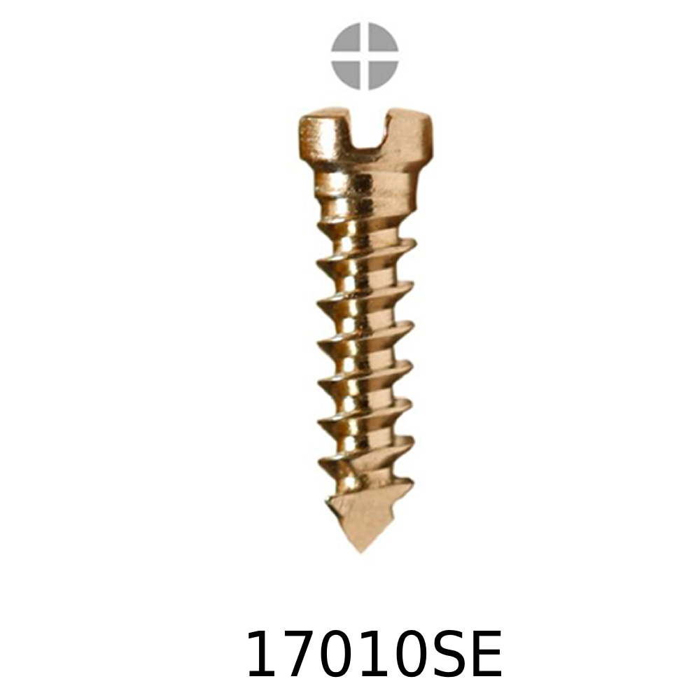 SK Surgicals SS Emergency Screws - 1.7mm x 10mm (17010SE)
