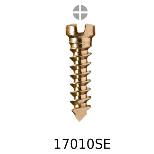 SK Surgicals SS Emergency Screws - 1.7mm x 10mm (17010SE)