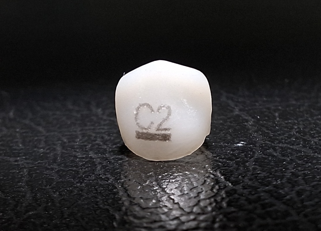 Pedo Crown Primary Lower Canine Refills