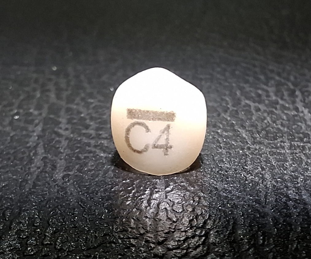 Pedo Crown Primary Upper Canine Refills