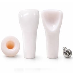 iDENTical Typodonts Upper Left Central Incisor For Nissin Type Jaw Set TJMA09 - Individual - 21
