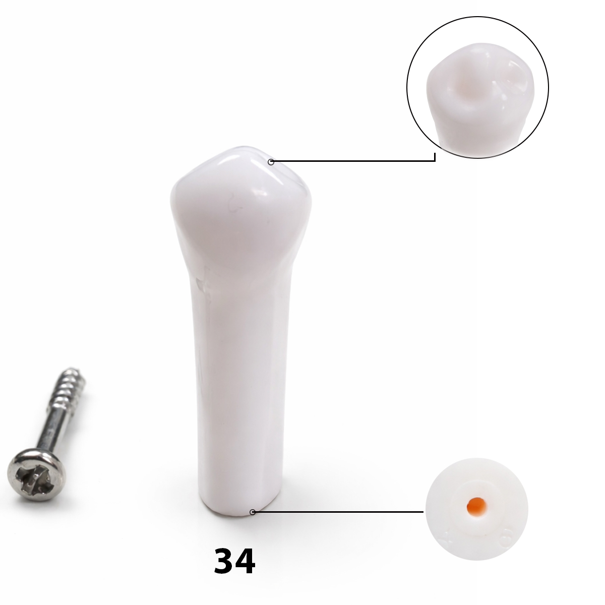 iDENTical Typodonts Lower Left First Premolar For Nissin Type Jaw Set TJMA09 - Individual - 34