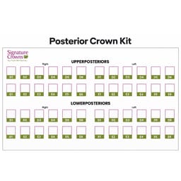 3M Paedodontic Zirconia Crowns Refill-D3-Posterior-Lower Left