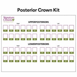 3M Paedodontic Zirconia Crowns Refill-E6-Posterior-Upper Left