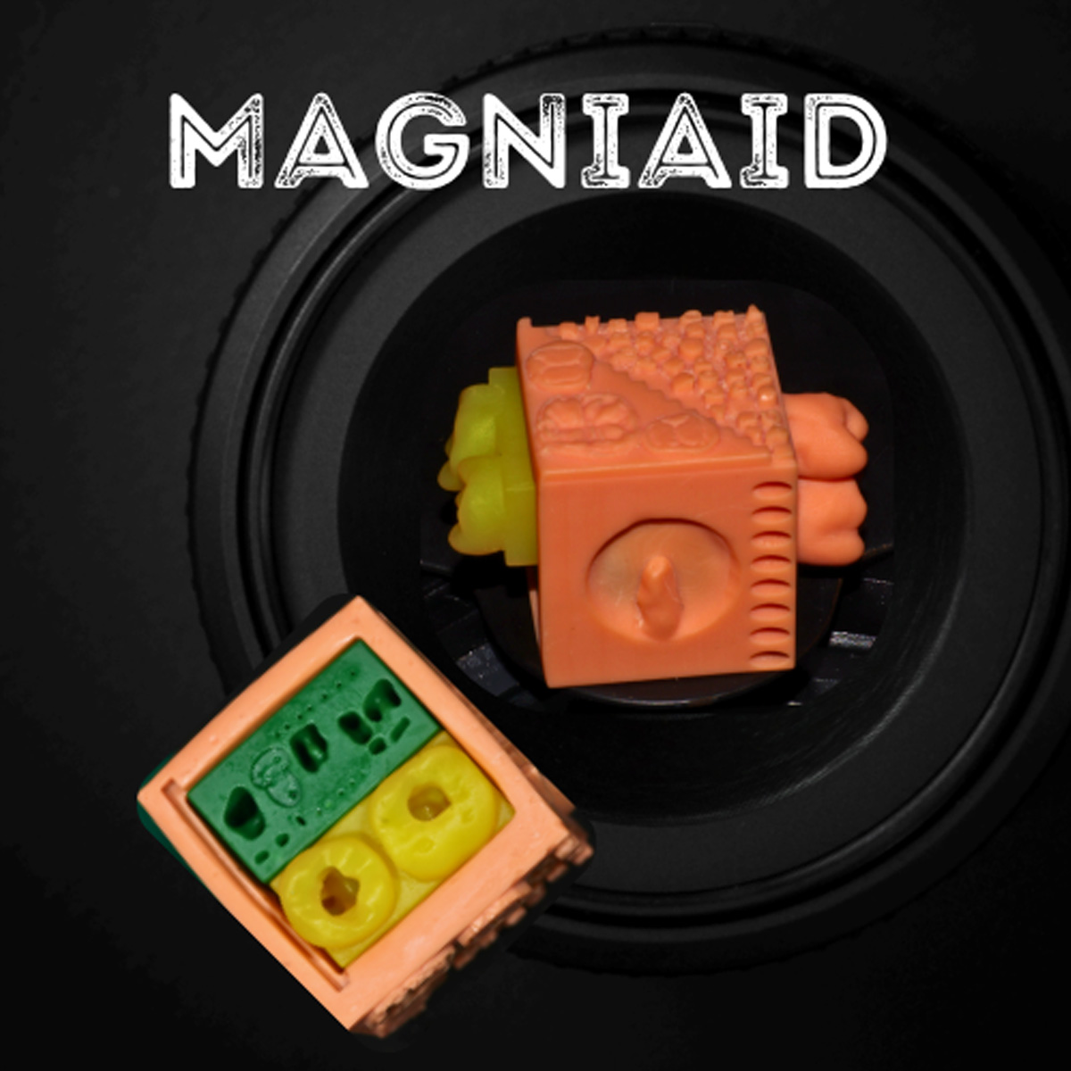 Toothxplore Magniaid Full Set Special Package For Endodontic Post-Graduates (Pack of 20)