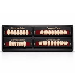 Rubydent CompacZahn Acrylic Denture natural shade Teeth A1- G1-K1-M1 (Set of 28) (2 layered)