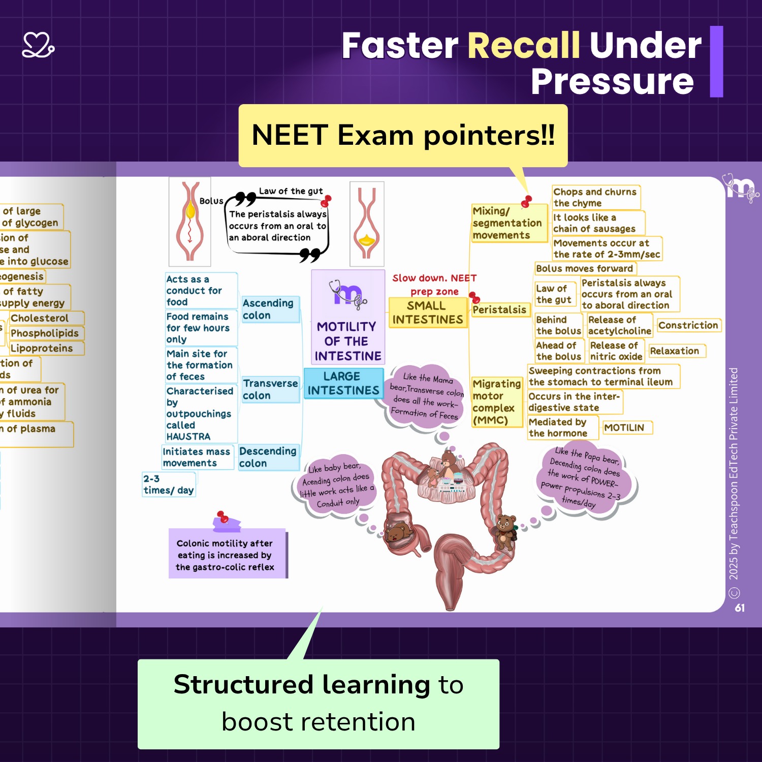Medi Study Go Physiology Mind Maps  (ISBN: 274103)