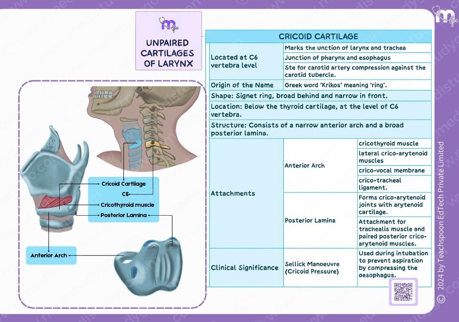 Medi Study Go First Year BDS Mind Maps Bundle (Pack Of 4)