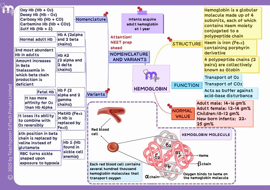 Medi Study Go First Year BDS Mind Maps Bundle (Pack Of 4)