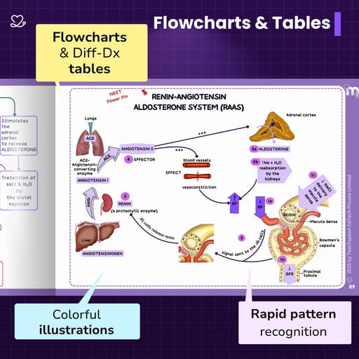 Medi Study Go Physiology Mind Maps (ISBN: 274103)