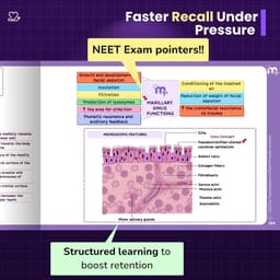 Medi Study Go Dental Anatomy & Oral Histology Mind Maps And Notes (ISBN: 279771) - 3