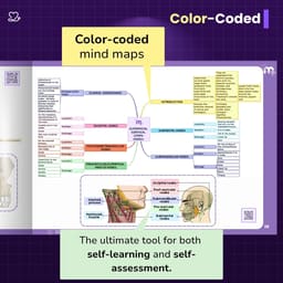 Medi Study Go Head And Neck Anatomy Mind Maps (ISBN: 274448) - 7