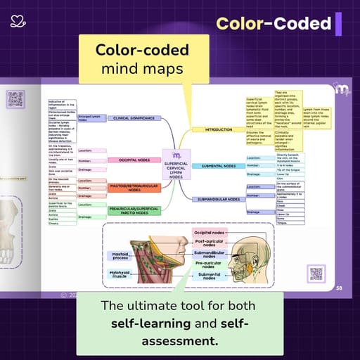 Medi Study Go Head And Neck Anatomy Mind Maps (ISBN: 274448)
