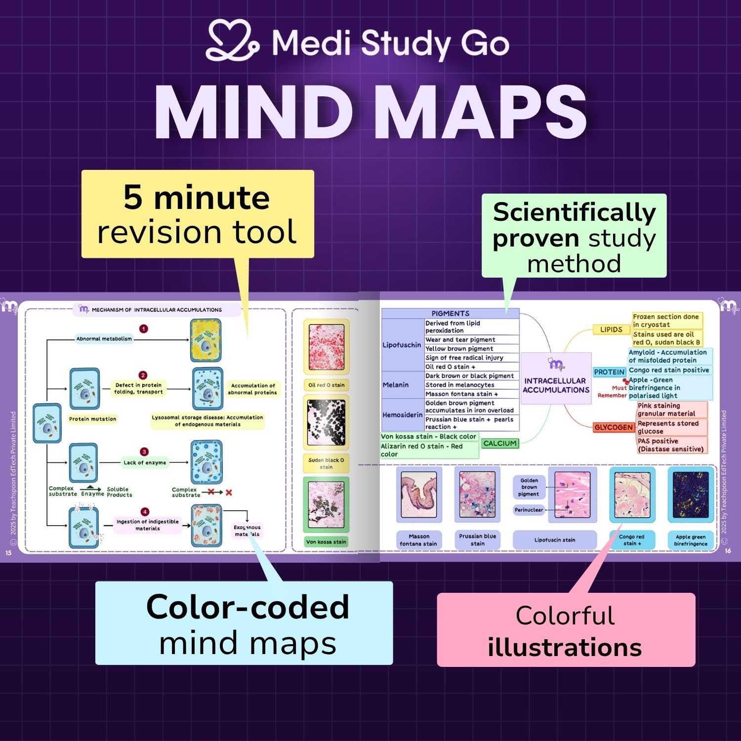 Medi Study Go General Pathology Mind Maps  (ISBN: 282139)