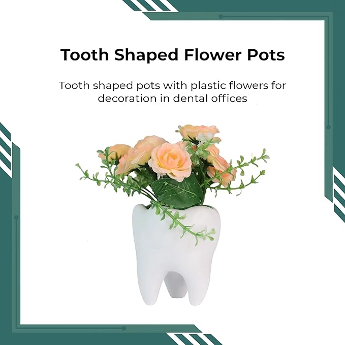 iDENTical Tooth shaped Flower Pot - MD-118 White