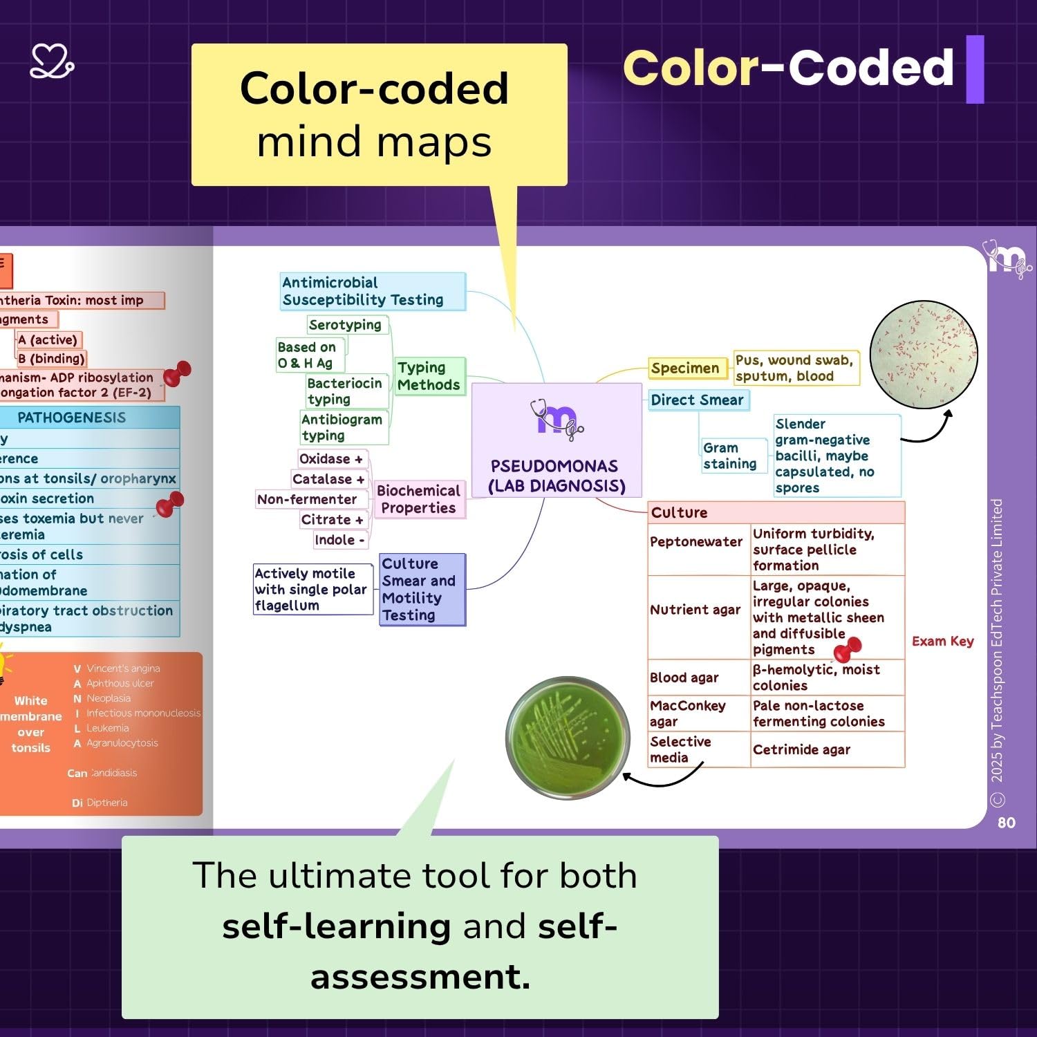 Medi Study Go Microbiology Mind Maps  (ISBN: 283457)