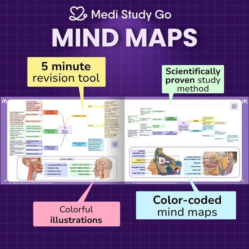 Medi Study Go Head And Neck Anatomy Mind Maps (ISBN: 274448)