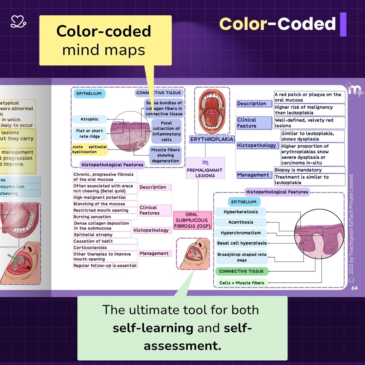 Medi Study Go General Pathology Mind Maps  (ISBN: 282139)