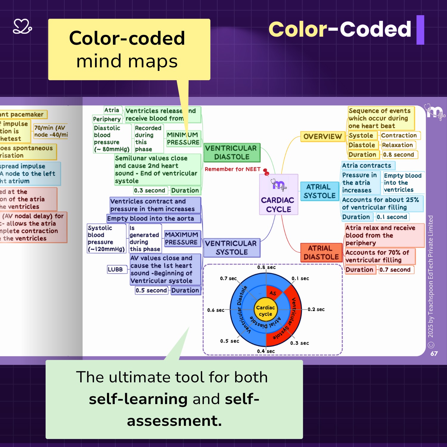 Medi Study Go Physiology Mind Maps  (ISBN: 274103)