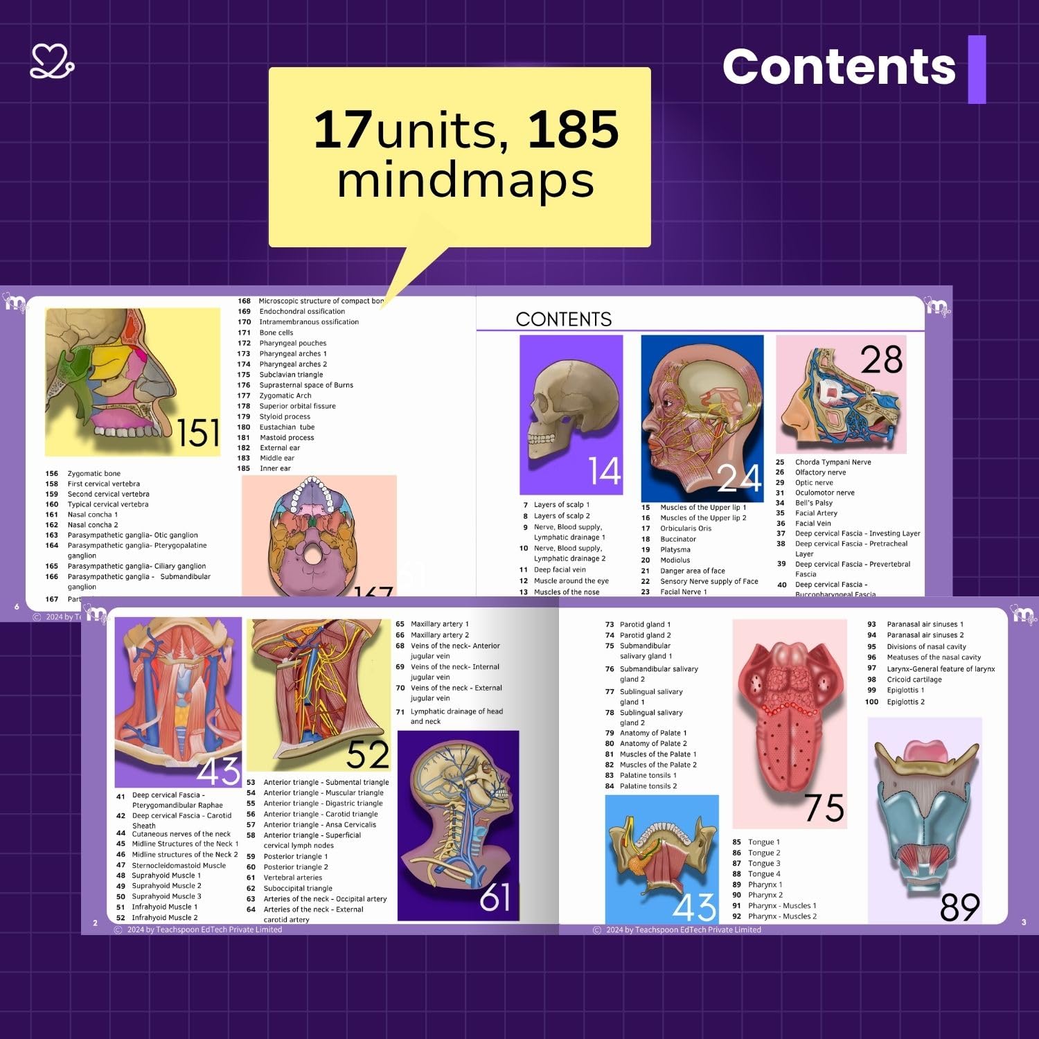 Medi Study Go Head And Neck Anatomy Mind Maps (ISBN: 274448)