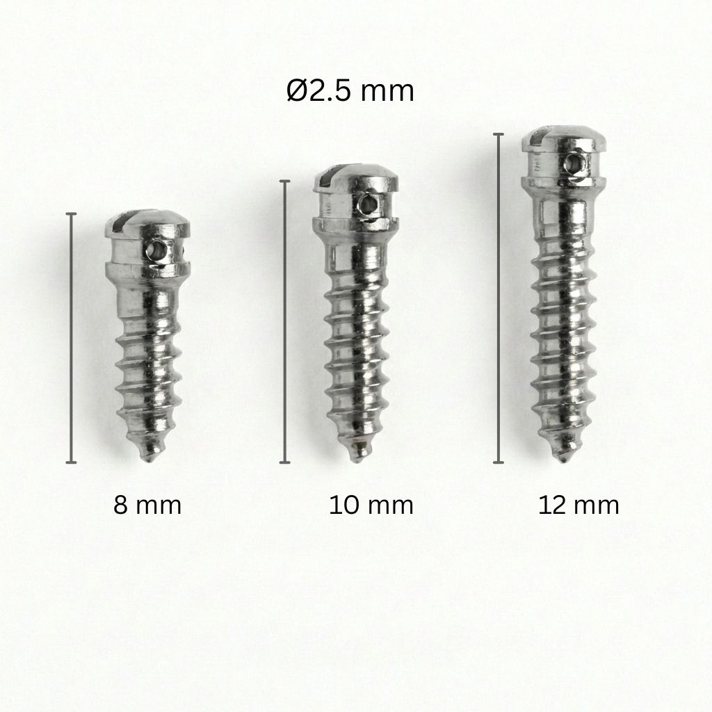 SK Surgicals SS IMF Screws