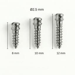 SK Surgicals SS IMF Screws (Pack of 5) - 3