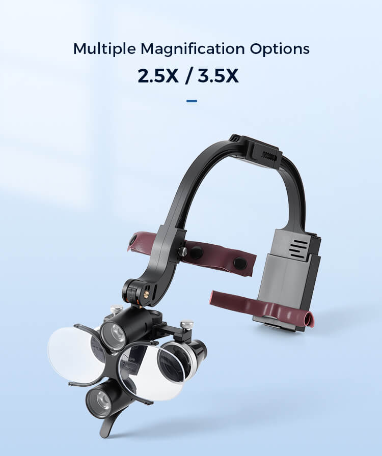 Waldent Head Mounted Double Light Magnifying Surgical Loupes