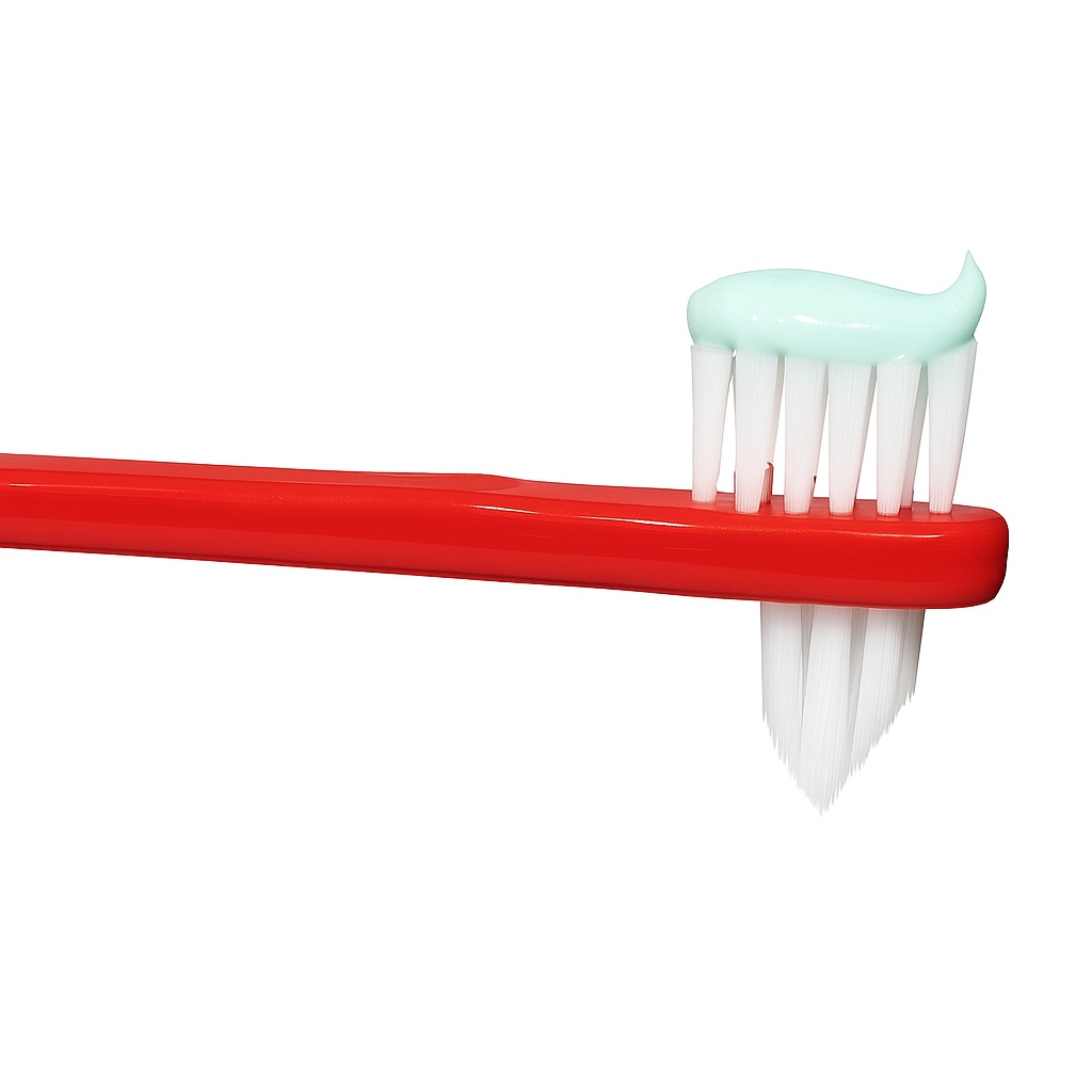 Stim Denture Brush (Pack Of 12)