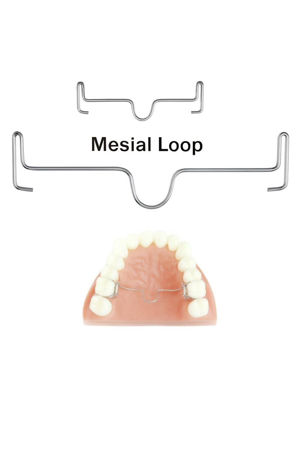 JJ Ortho Palatal Bar With Mesial Loop