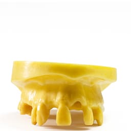iDENTical Implant Practice Model With Extraction Sockets M2045 - 4