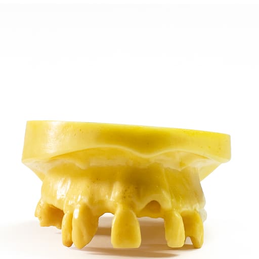 iDENTical Implant Practice Model With Extraction Sockets M2045